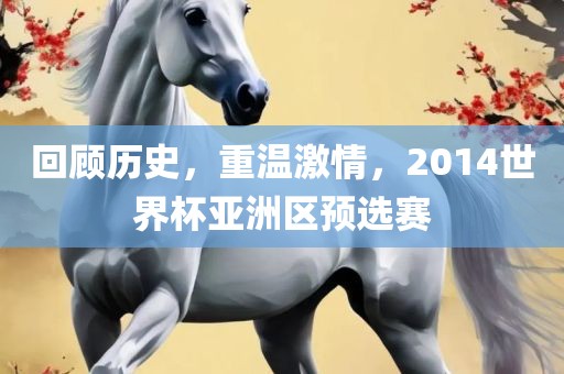 回顾历史，重温激情，2014世界杯亚洲区预选赛