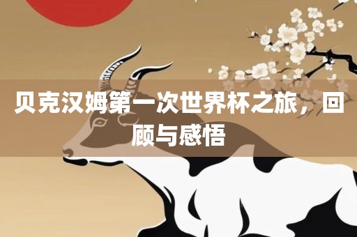 贝克汉姆第一次世界杯之旅，回顾与感悟