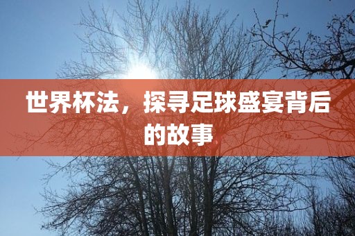 世界杯法，探寻足球盛宴背后的故事