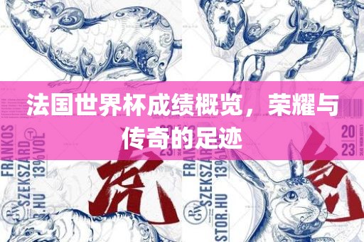 法国世界杯成绩概览，荣耀与传奇的足迹