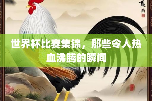 世界杯比赛集锦，那些令人热血沸腾的瞬间