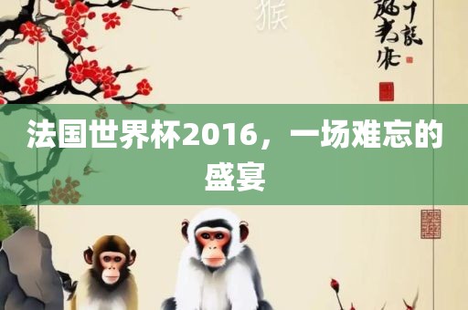 法国世界杯2016，一场难忘的盛宴