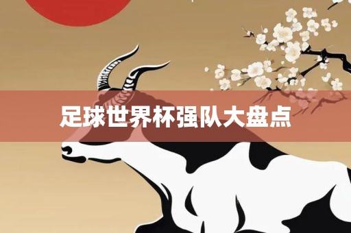 足球世界杯强队大盘点