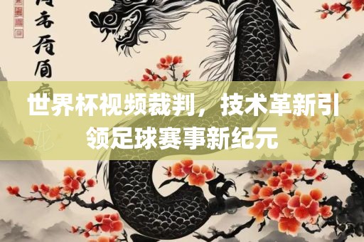 世界杯视频裁判，技术革新引领足球赛事新纪元眉山市正发家政服务有限公司