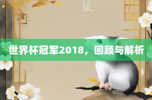 世界杯冠军20眉山市正发家政服务有限公司18，回顾与解析