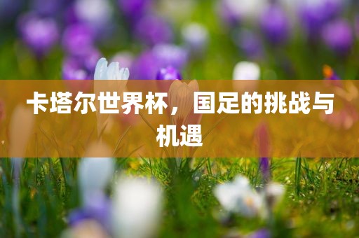 卡塔尔世界杯，国足的挑战与机遇