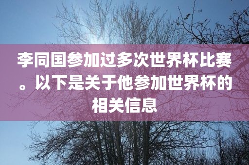 李同国参加过多次世界杯比赛。以下是关于他参加世界杯的相关信息