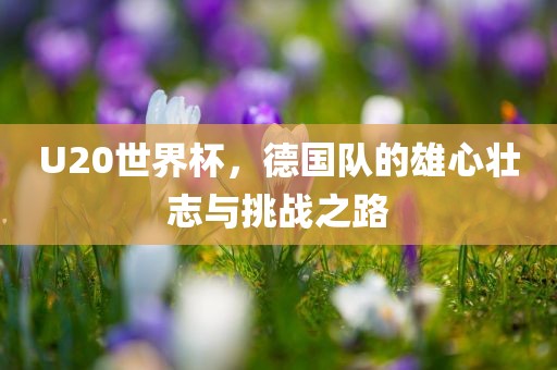 U20世界杯，德国队的雄心壮志与挑战之路
