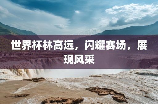世界杯林高远，闪耀赛场，展现风采