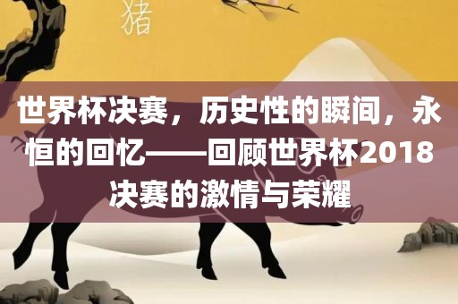 世界杯决赛，历史性的瞬间，永恒的回忆——回顾世界杯2018决赛的激情与荣耀
