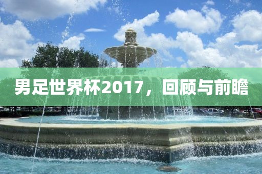 男足世界杯2017，回顾与前瞻