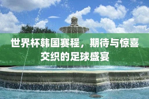 世界杯韩国赛程，期待与惊喜交织的足球盛宴眉山市正发家政服务有限公司