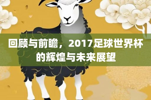 回顾与前瞻，2017足球世界杯的辉煌与未来展望