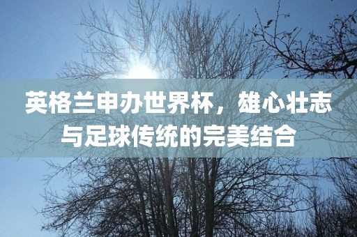 英格兰申办世界杯，雄心壮志与足球传统的完美结合眉山市正发家政服务有限公司