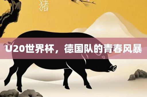 U20世界杯，德国队的青春风暴