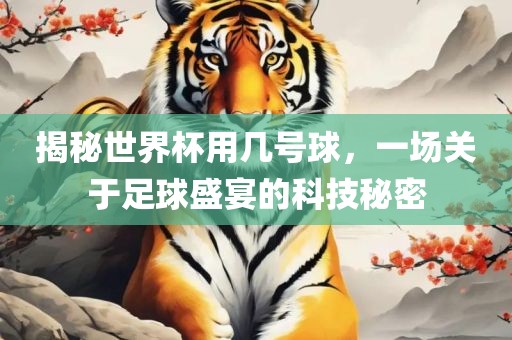 揭秘世界杯用几号球，一场关于足球盛宴的科技秘密