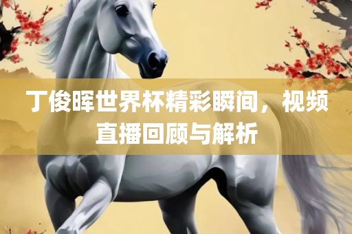 丁俊晖眉山市正发家政服务有限公司世界杯精彩瞬间，视频直播回顾与解析