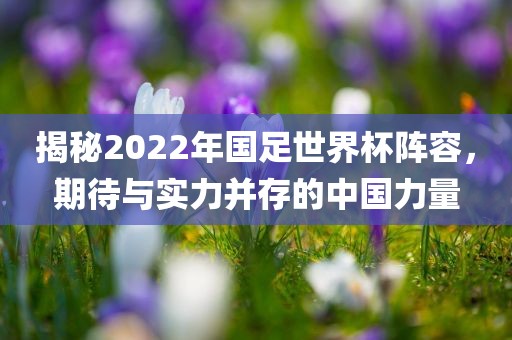 中国力量