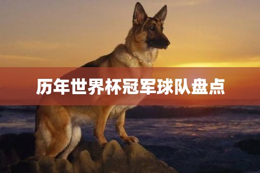 历年世界杯冠军球队盘点眉山市正发家政服务有限公司