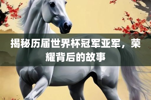 揭秘历届世界杯冠军亚军，荣耀背后的故事