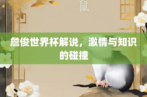 詹俊世界杯解说，激情与知识的碰撞