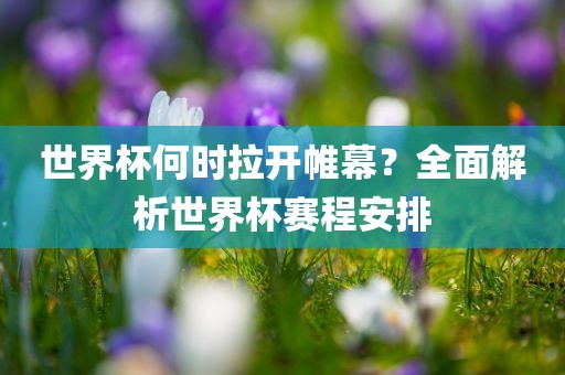 世界杯何时拉开帷幕？全面解析世界杯赛程安排