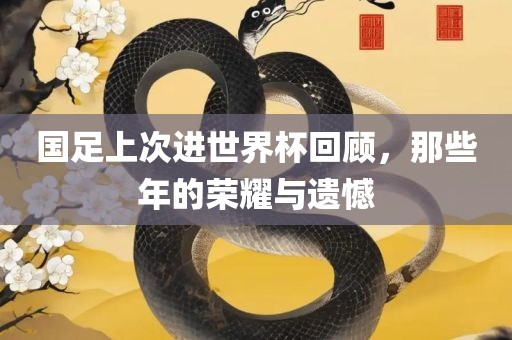 国足上次进世界杯回顾，那些年的荣耀与遗憾