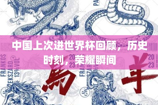 中国上次进世界杯回顾，历史时刻，荣耀瞬间眉山市正发家政服务有限公司