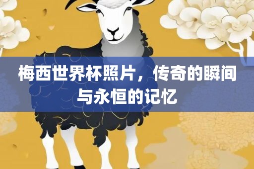 梅西世界杯照片，传奇的瞬间与永恒的记忆