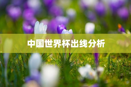 中国世界杯出线分析眉山市正发家政服务有限公司