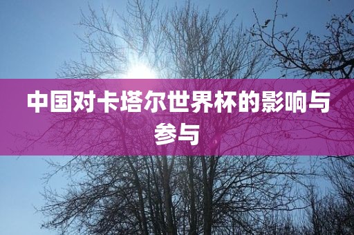 中国对卡塔尔世界杯的影响与参与