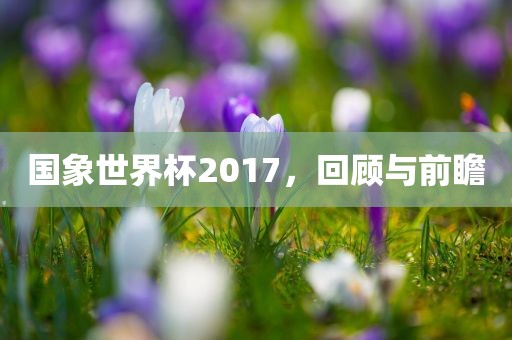 国象世界杯2017，回顾与前瞻