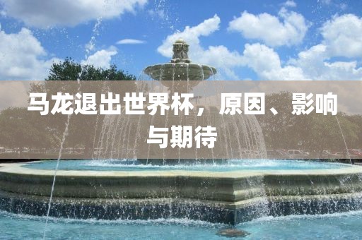 马龙退出世界杯，原因、影响与期待眉山市正发家政服务有限公司