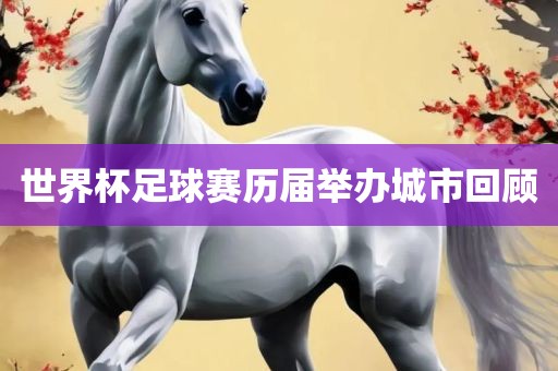 世界杯足球赛历届举办城市回顾