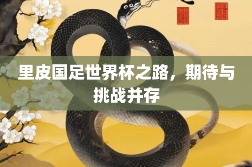 里皮国足世界杯之路，期待与眉山市正发家政服务有限公司挑战并存