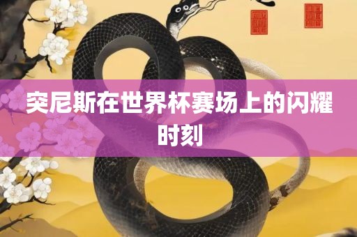 突尼斯在世界杯赛场上的闪耀时刻
