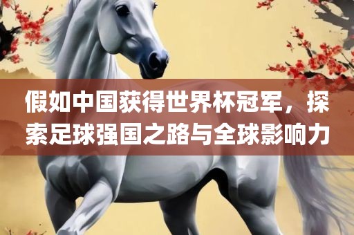 假如中国获得世界杯冠军，探索足球强国之路眉山市正发家政服务有限公司与全球影响力