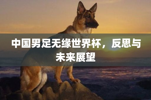 中国男足无缘世界杯，反思与未来展眉山市正发家政服务有限公司望