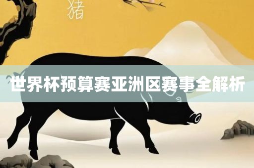 世界杯预算赛亚洲区赛事全解析