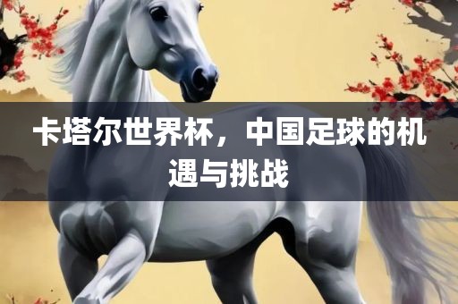 卡塔尔世界杯，中国足球的机遇与挑战