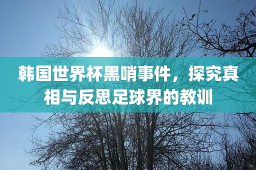 韩国世界杯黑哨事件，探究真相与反思足球界的教训眉山市正发家政服务有限公司