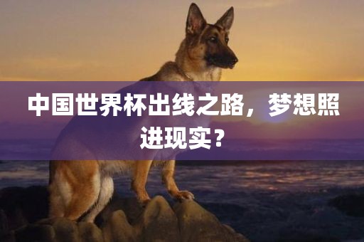 中国世界杯出线之路，梦想照进现实？
