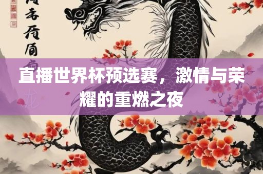 直播世界杯预选赛，激情与荣耀的重燃之夜