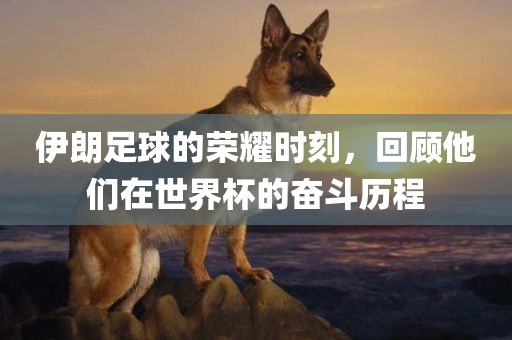 伊朗足球的荣耀时刻，回顾他们在世界杯的奋斗历程眉山市正发家政服务有限公司