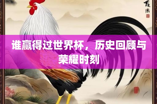 世界杯冠军 第2页