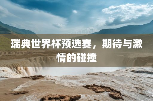 瑞典世界杯预选赛，期待与激情的碰撞