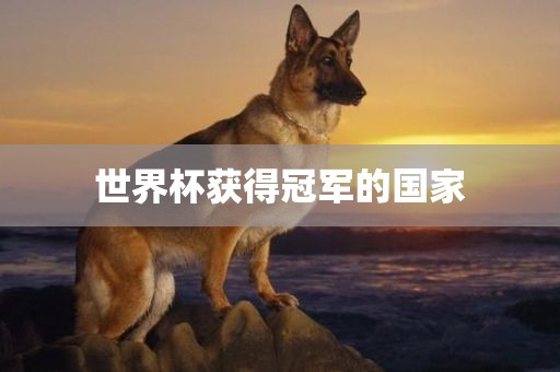 世界杯获得冠军的国家眉山市正发家政服务有限公司