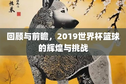 回顾与前瞻，2019世界杯篮球的辉煌与挑眉山市正发家政服务有限公司战