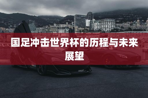 国足冲击世界杯的历程与未来展望