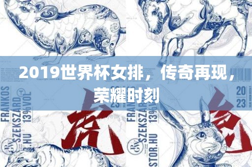 2019世界杯女排，传奇再现，荣耀时刻